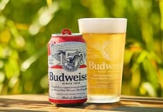 Budweiser Folds of Honor Mirror Giveaway