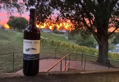 Sunsets at Stone Hill Winery