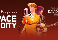 David Brighton's Space Oddity